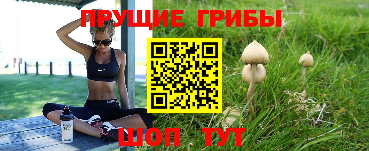 Псилоцибиновые грибы Psilocybine cubensis  где продают   Качканар  Вход с VPN 